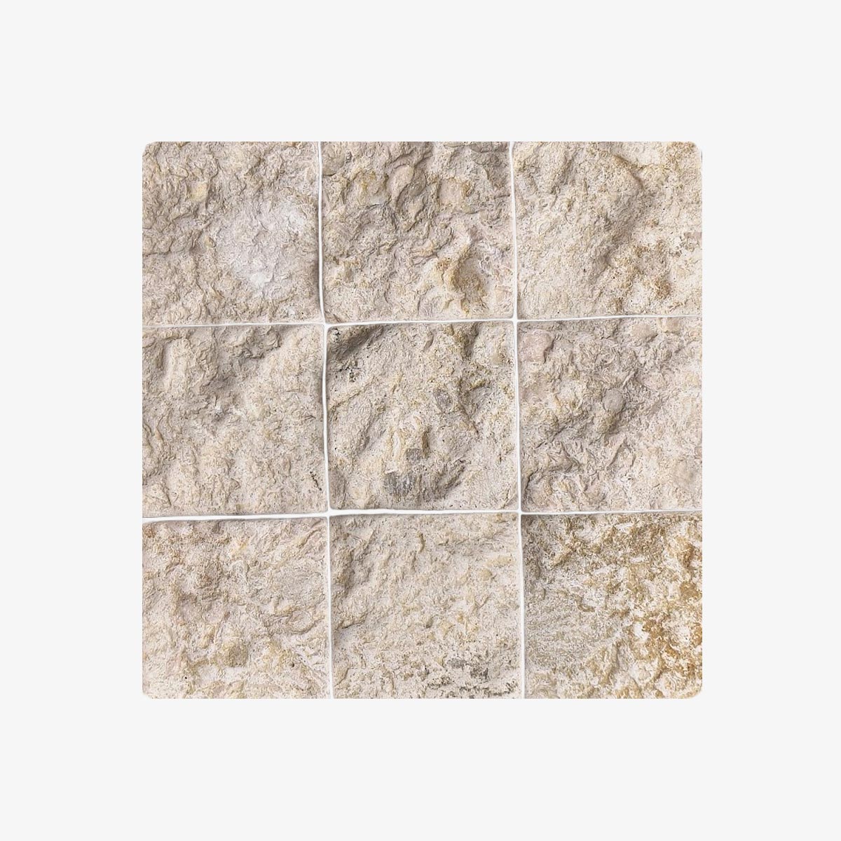 COVE-COB-10X10X2