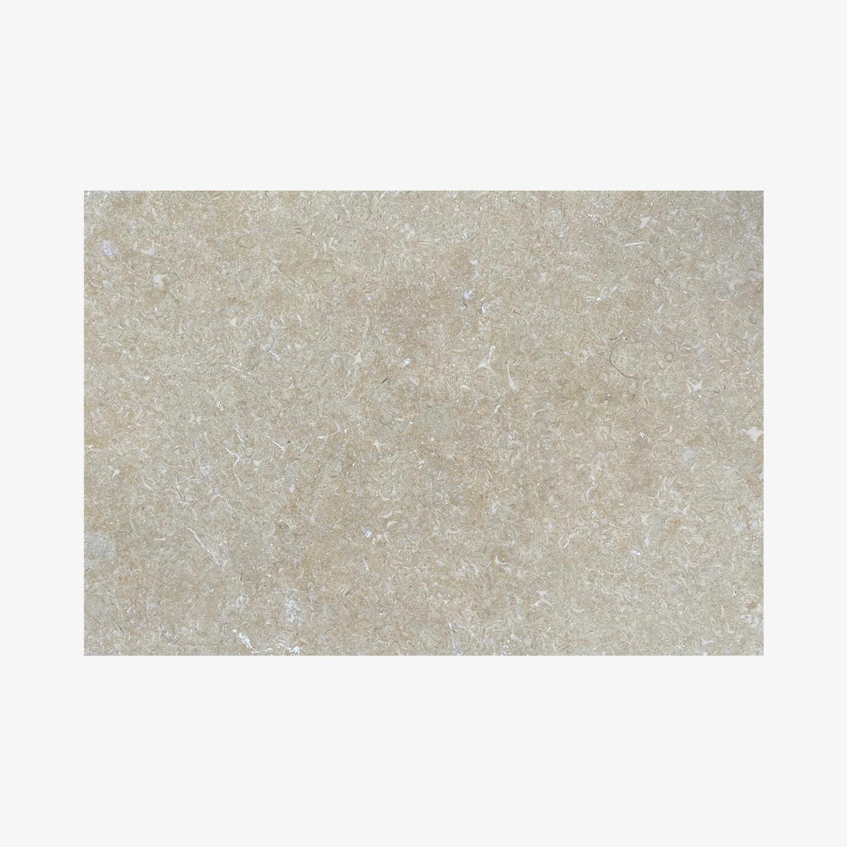 CORAL-TIL-60X40X2