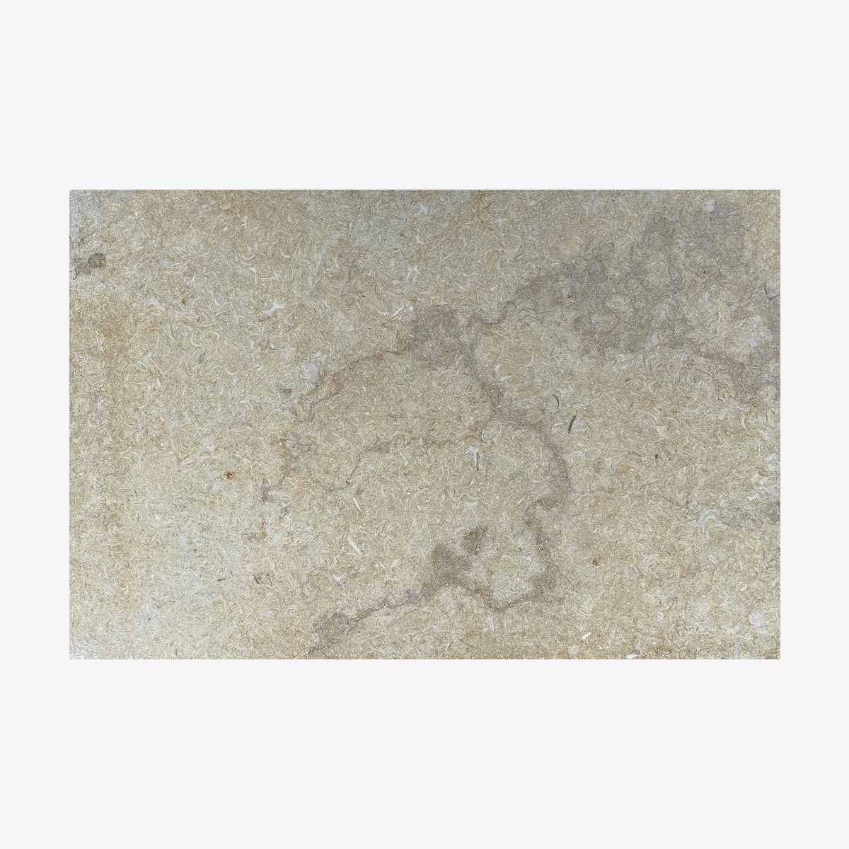 CORAL-TIL-60X40X2